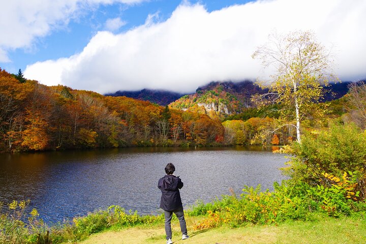 Togakushi: A Serene Walk Through Sacred Forests & Soba Traditions