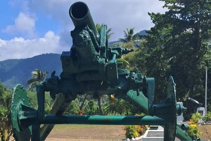 3-Hour WWII Private Bus Tour for Cruise Ship Passengers