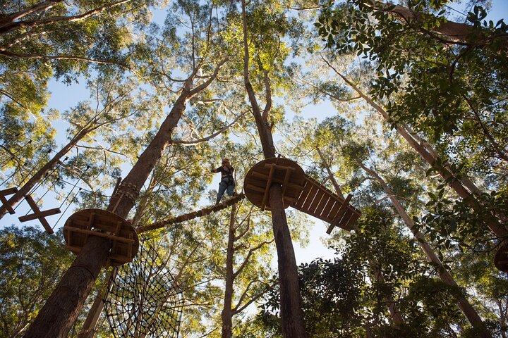 Treetops Adventure Coffs Harbour Tree Ropes Course