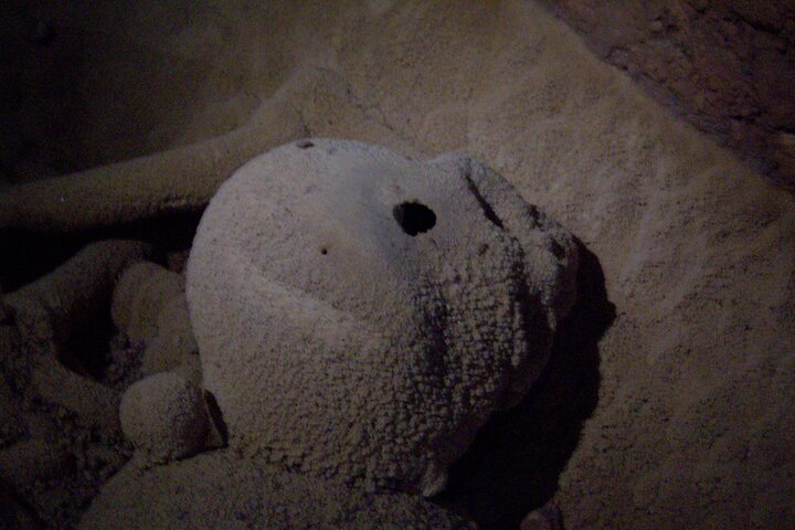Actun Tunichil Muknal (ATM Cave) from San Ignacio: Maya Sacrifice