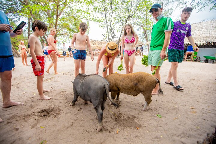 Pink Dolphin and Pig Island Snorkeling Tour from Koh Samui