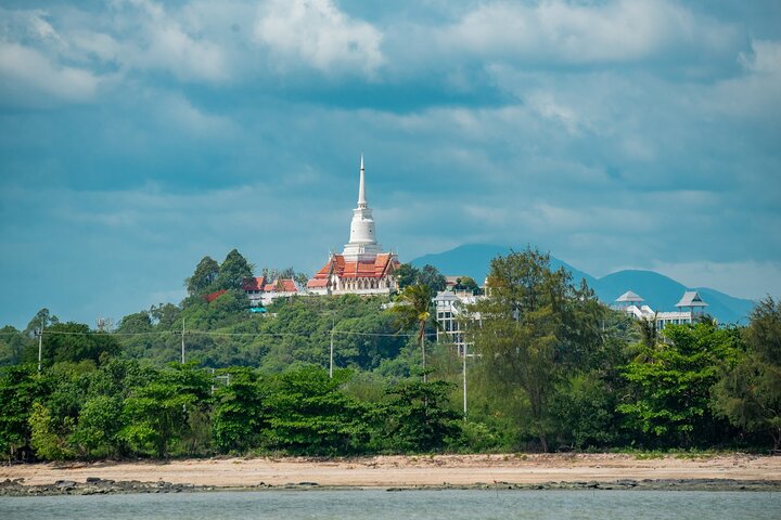 Pink Dolphin and Pig Island Snorkeling Tour from Koh Samui