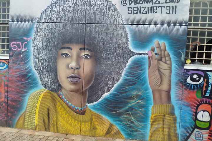 Johannesburg and Soweto tour