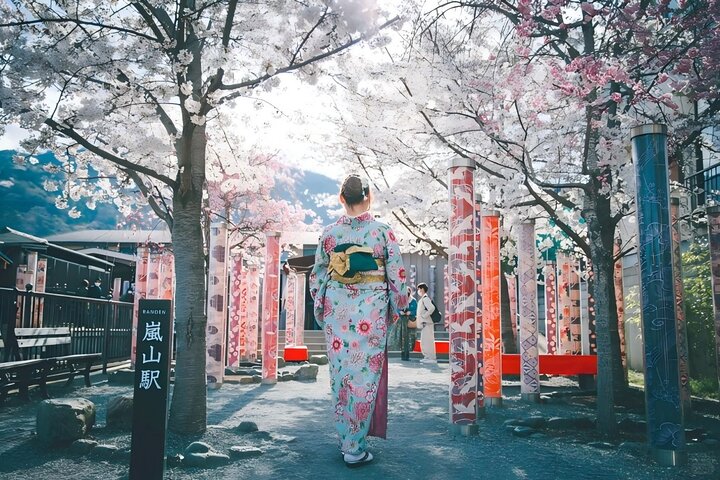From Kyoto / Osaka: Kyoto Must-see Spots & Nara Park One Day Tour