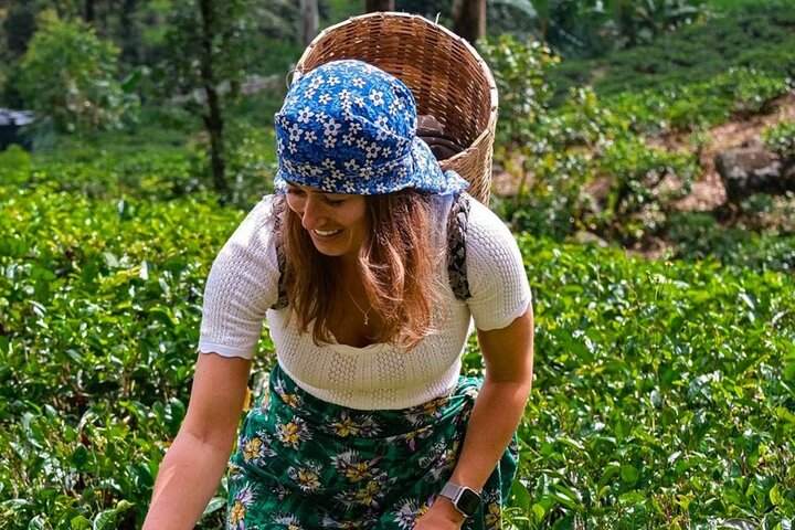 Ella Private Day Tour - Departing from Any Location in Sri Lanka