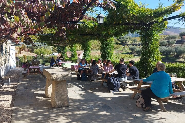 3-Hour Tour to Discover Pinhão - Moment of Discovery