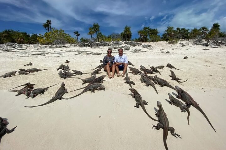 Exuma Island and Cays Tour