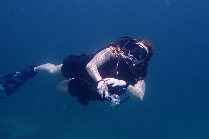 2 Dives in Oman, Dibba Musandam for certified divers