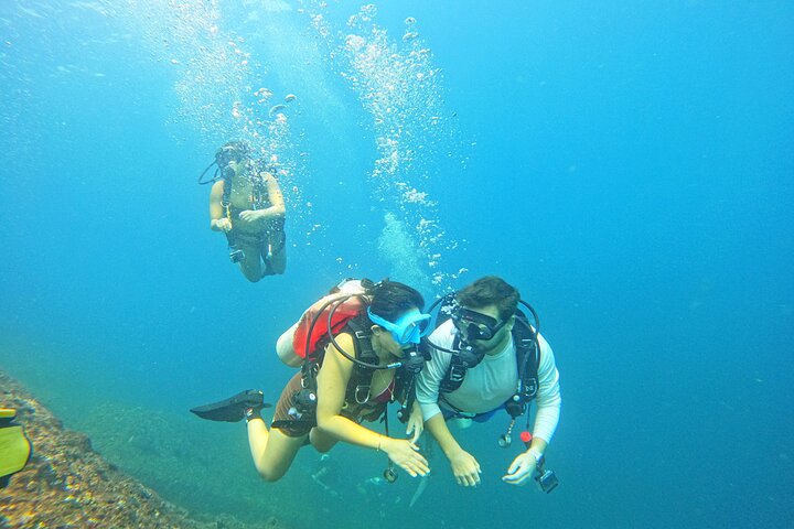 2 Dives in Oman, Dibba Musandam for certified divers
