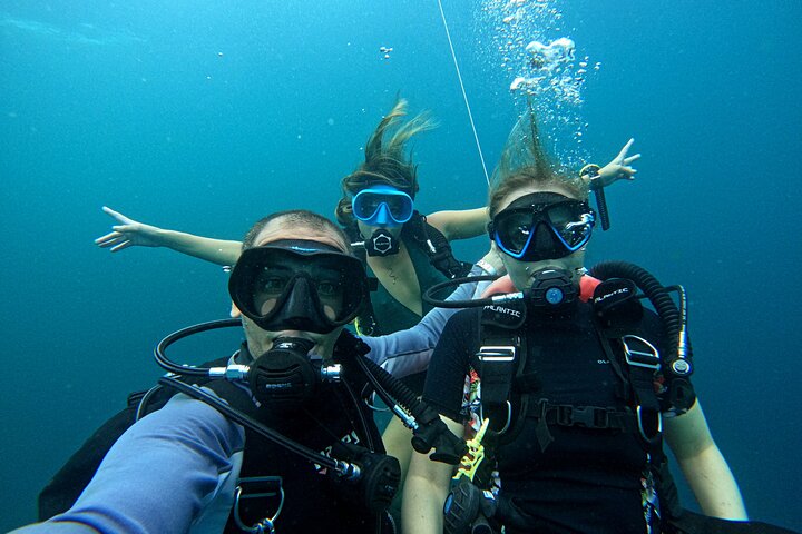 2 Dives in Oman, Dibba Musandam for certified divers