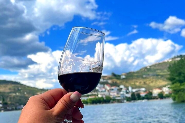 Boat tour 50min through the river Douro in Pinhão