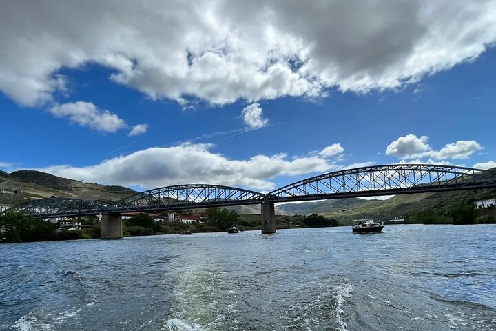 Boat tour 50min through the river Douro in Pinhão
