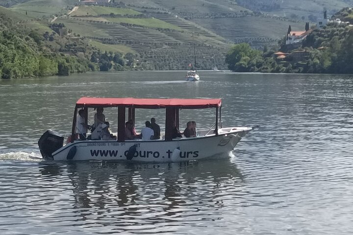 Boat tour 50min through the river Douro in Pinhão
