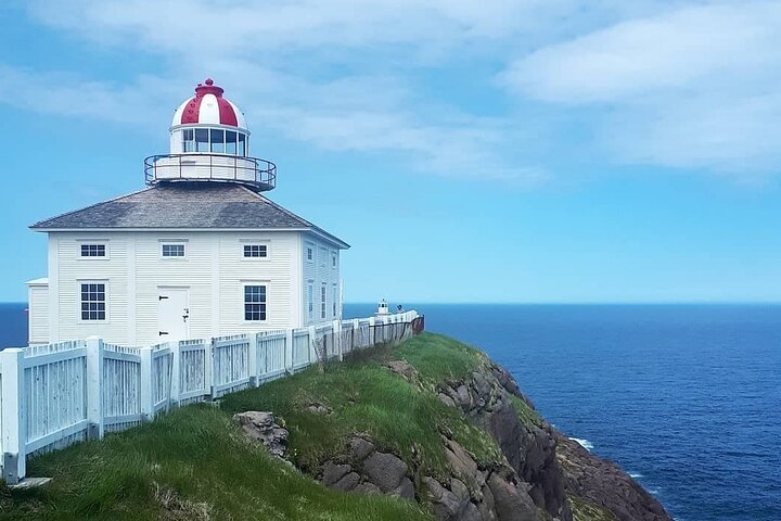 Explore St. John's Scenic Bus Tour to Cape Spear and Quidi Vidi