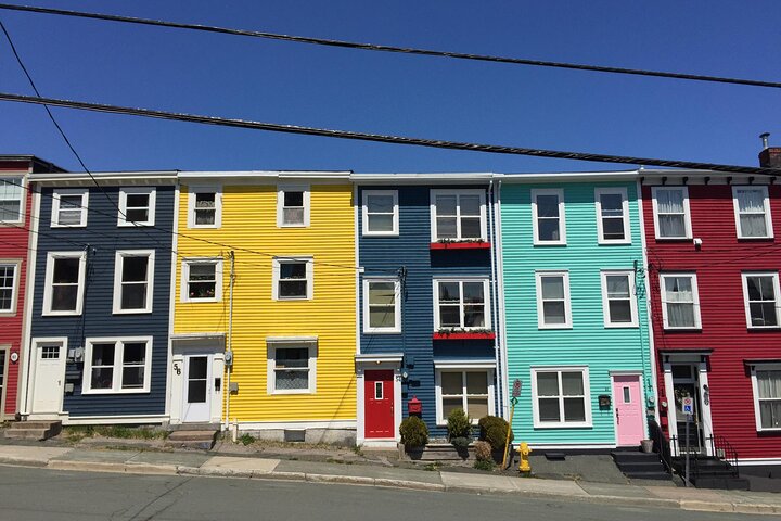 Explore St. John's Scenic Bus Tour to Cape Spear and Quidi Vidi