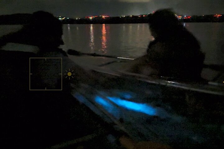 Biobay Vieques Tour Kayak Night Tour