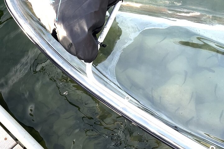 Clear Kayak Rentals for Glacier Park