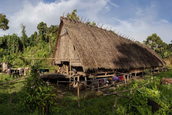 3 Days 2 Nights Siberut Jungle Trekking Mentawai Experience