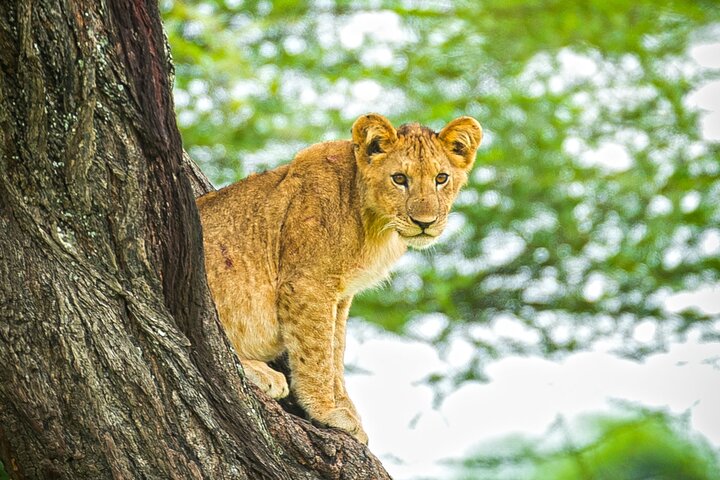 3 Days Private Budget Camping Tour
