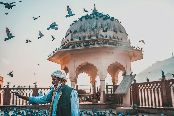 Jaipur: Private Full Day Jaipur City Tour with Pick-Up & Drop.