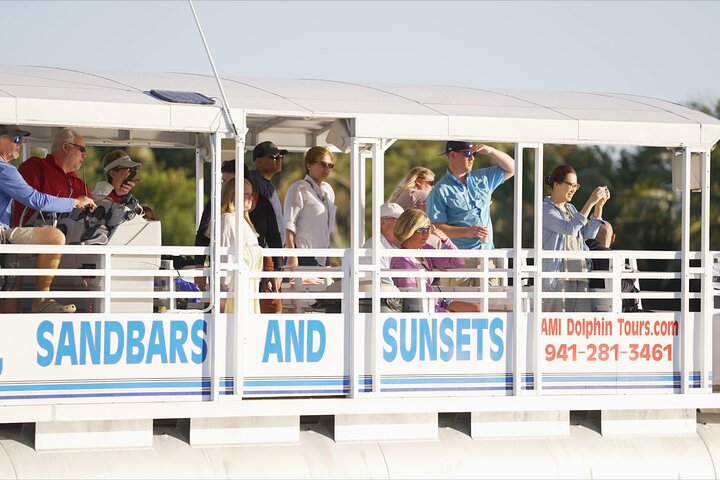Anna Maria Island Dolphin Sightseeing Adventure
