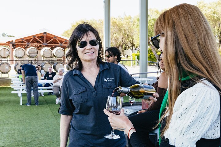 Napa and Sonoma Wine Country Full-Day Tour from San Francisco