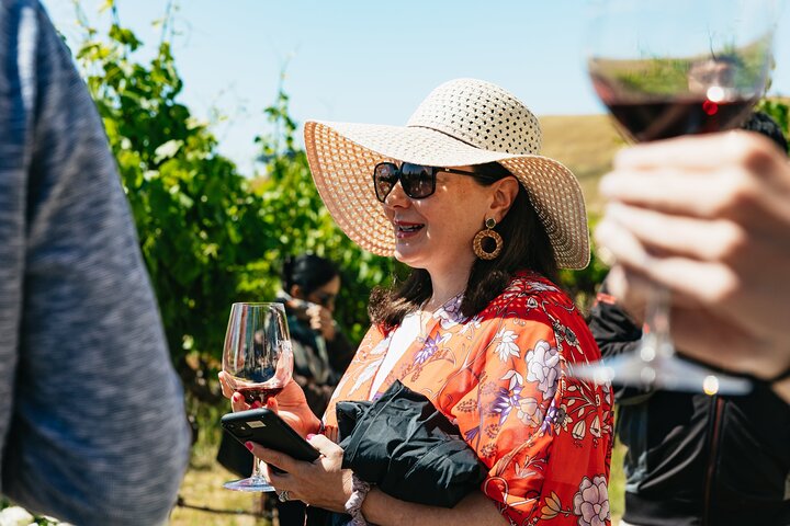 Napa and Sonoma Wine Country Full-Day Tour from San Francisco