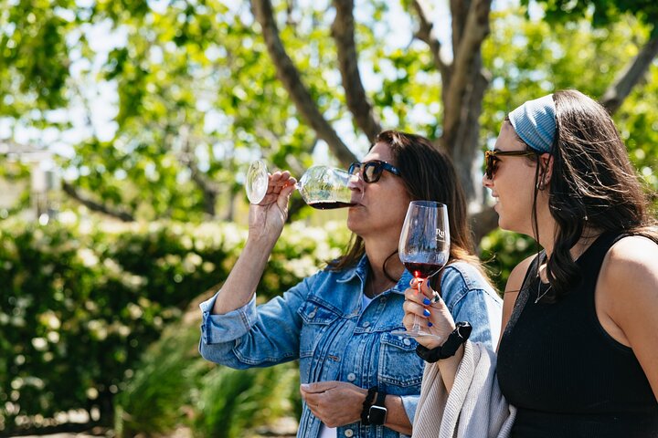Napa and Sonoma Wine Country Full-Day Tour from San Francisco