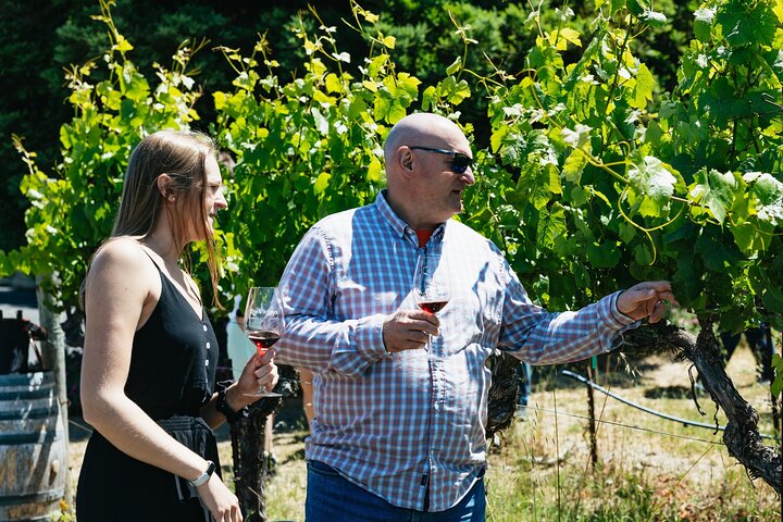 Napa and Sonoma Wine Country Full-Day Tour from San Francisco