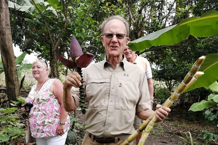Cocoa and Tropical Fruits Farm with Fine Chocolate Experience