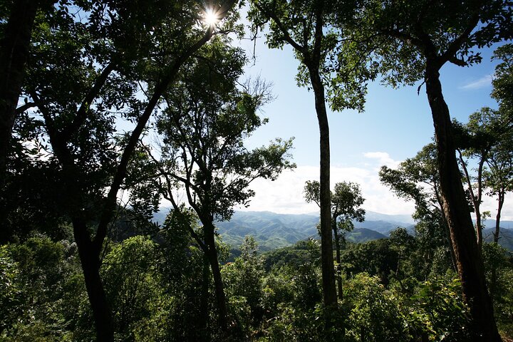 The Forbidden Trail: 4 Days of Exclusive Jungle & Secret Villages