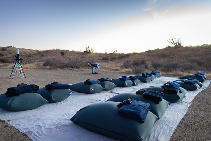 Professional Stargazing Tour in Joshua Tree