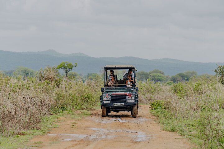 1-Day Mikumi National Park Fly-In Safari from Zanzibar