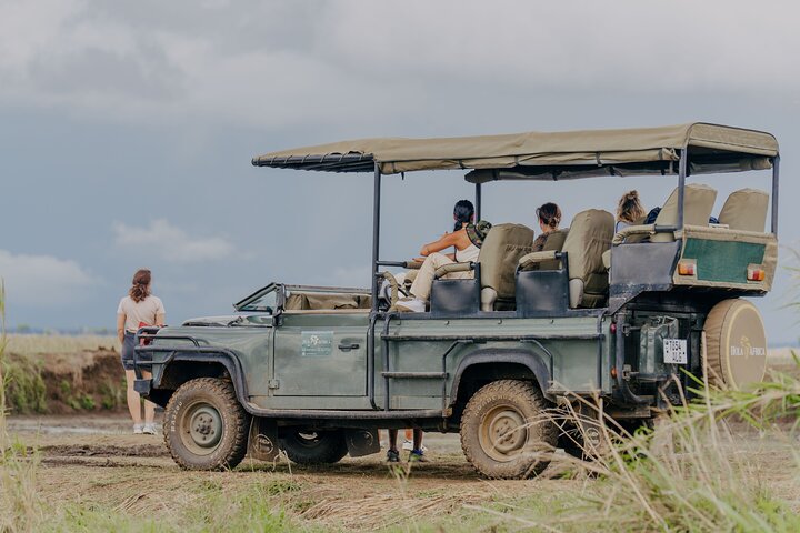 1-Day Mikumi National Park Fly-In Safari from Zanzibar