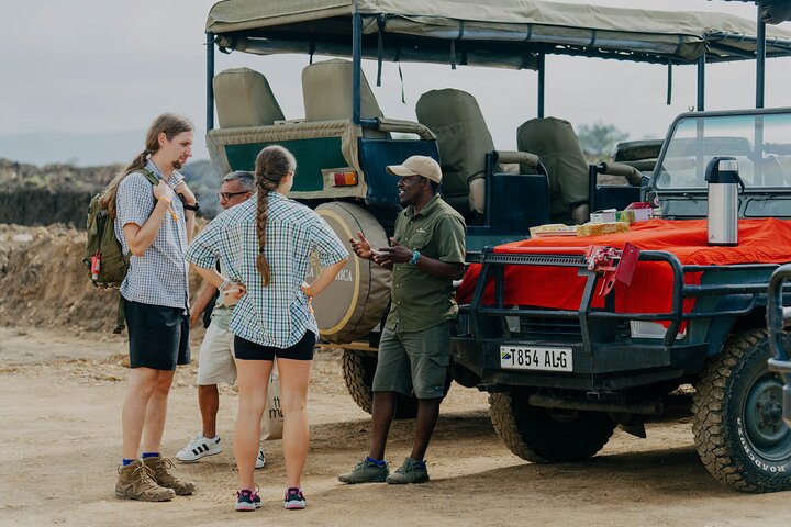 1-Day Mikumi National Park Fly-In Safari from Zanzibar