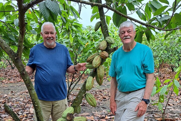 Cocoa and Tropical Fruits Farm with Fine Chocolate Experience
