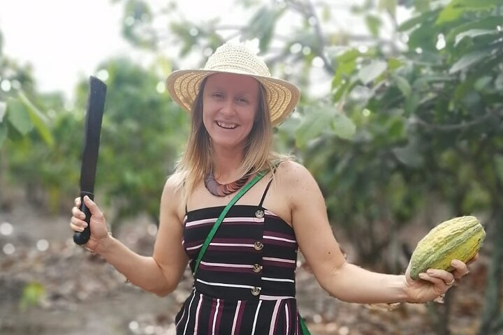 Cocoa and Tropical Fruits Farm with Fine Chocolate Experience