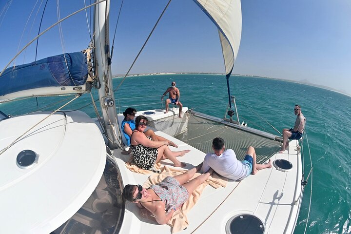 Catamaran Sailing Tour or Whale Watching at Boa Vista