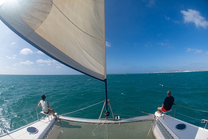 Catamaran Sailing Tour or Whale Watching at Boa Vista