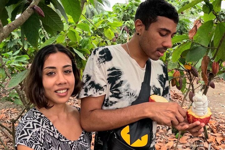 Cocoa and Tropical Fruits Farm with Fine Chocolate Experience