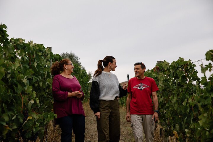 Visit and Tasting Reserve on Bricco di Nizza