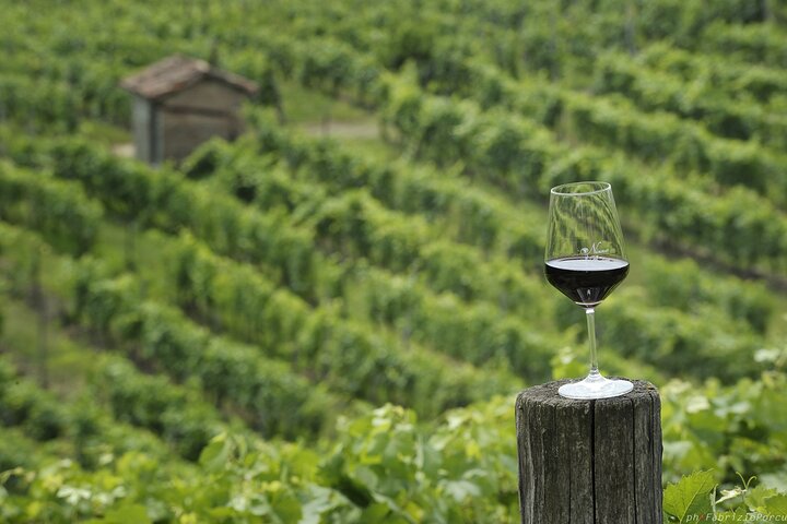 Visit and Tasting Reserve on Bricco di Nizza