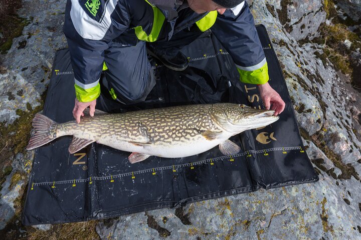 Private Fishing Adventure on Lake Vänern