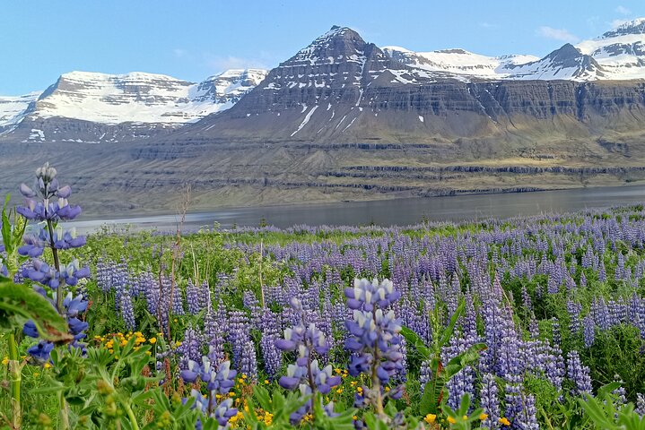 Shore Excursion Express: Glaciers - Black Sand Diamond Beach