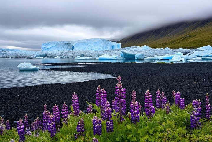 Shore Excursion Express: Glaciers - Black Sand Diamond Beach