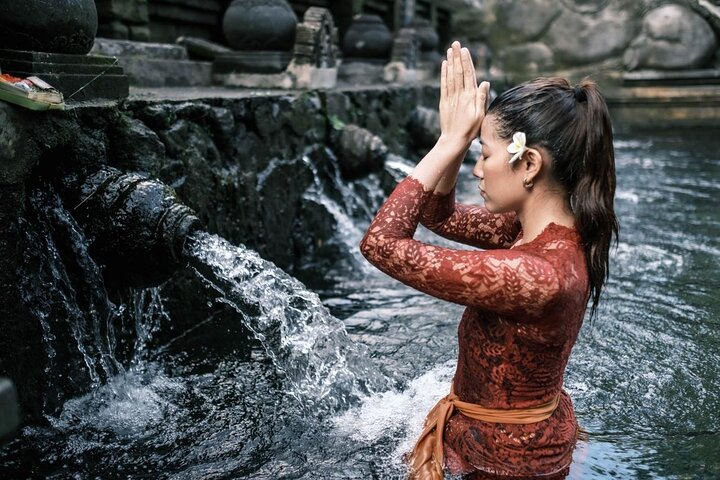 Ubud Private Tour - Waterfalls, Water Temple & Rice Terraces