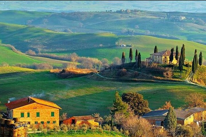 Deluxe Florence and Pisa Tour from Livorno Cruise Port