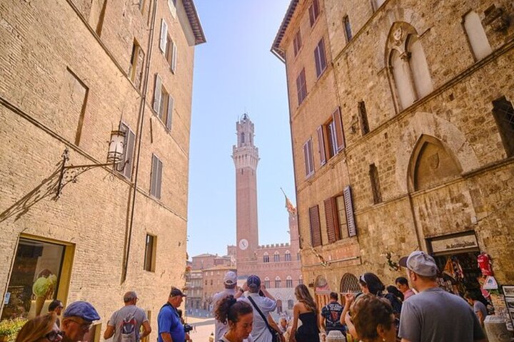 Best Florence and Pisa Excursion from La Spezia Cruise Port