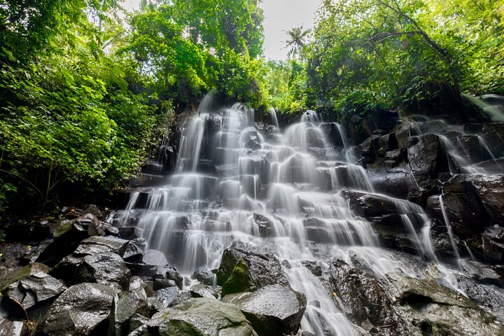 Ubud: Waterfall, Temple & Rice Terrace All-Inclusive Private Tour