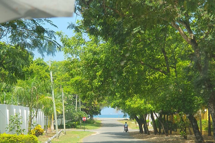 Dar es Salaam: Half-Day City Tour with Transfers